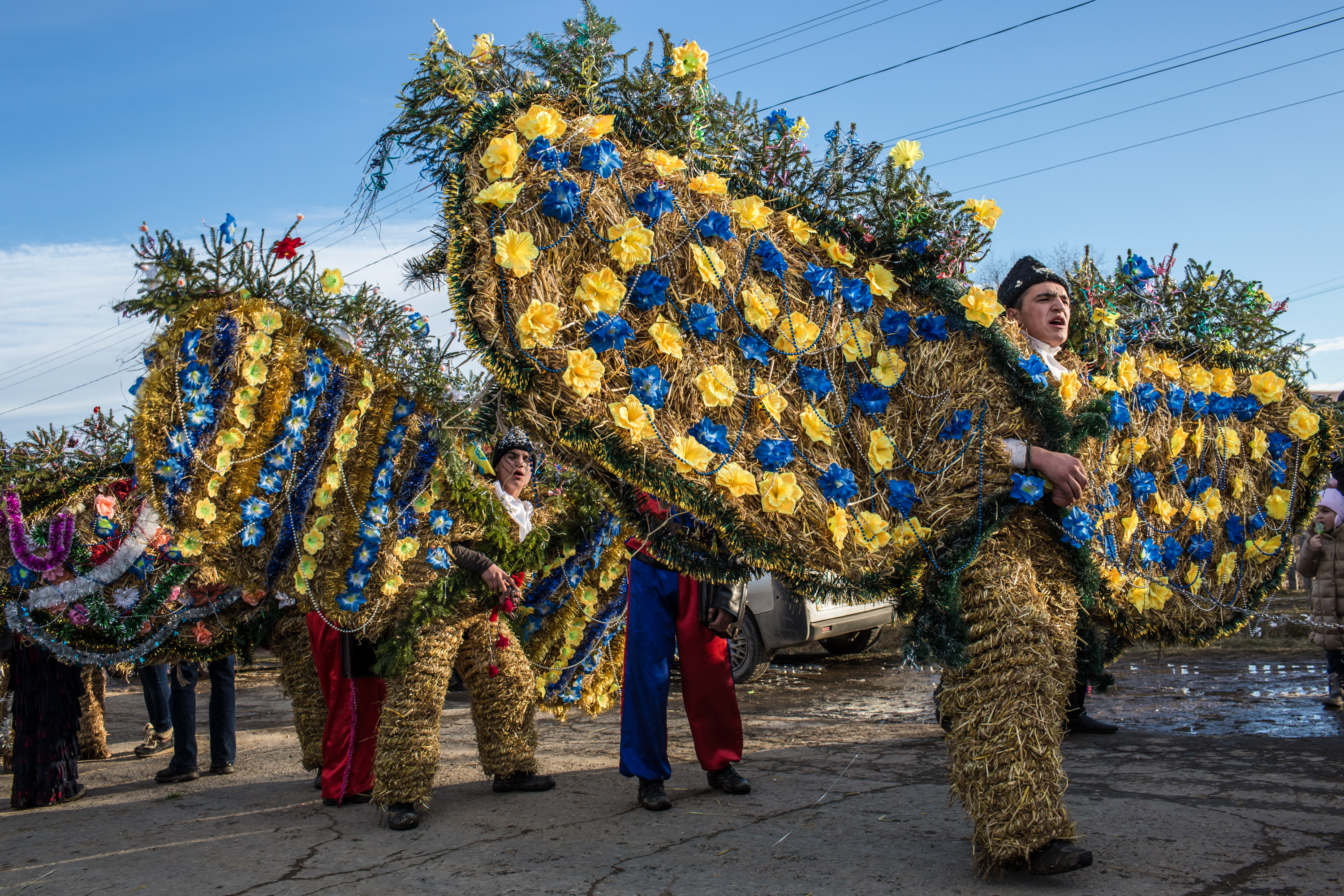 Маланка, Украина