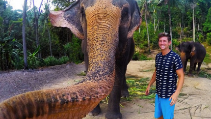В Таиланде слон сделал селфи с туристом