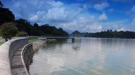Природный парк Макричи (MacRitchie Reservoir Park), Сингапур